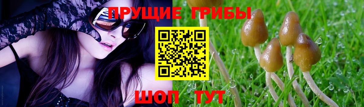 Галлюциногенные грибы мицелий Фролово